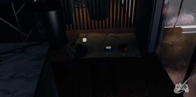 The cat Jones in Samuels Apartment in AILA