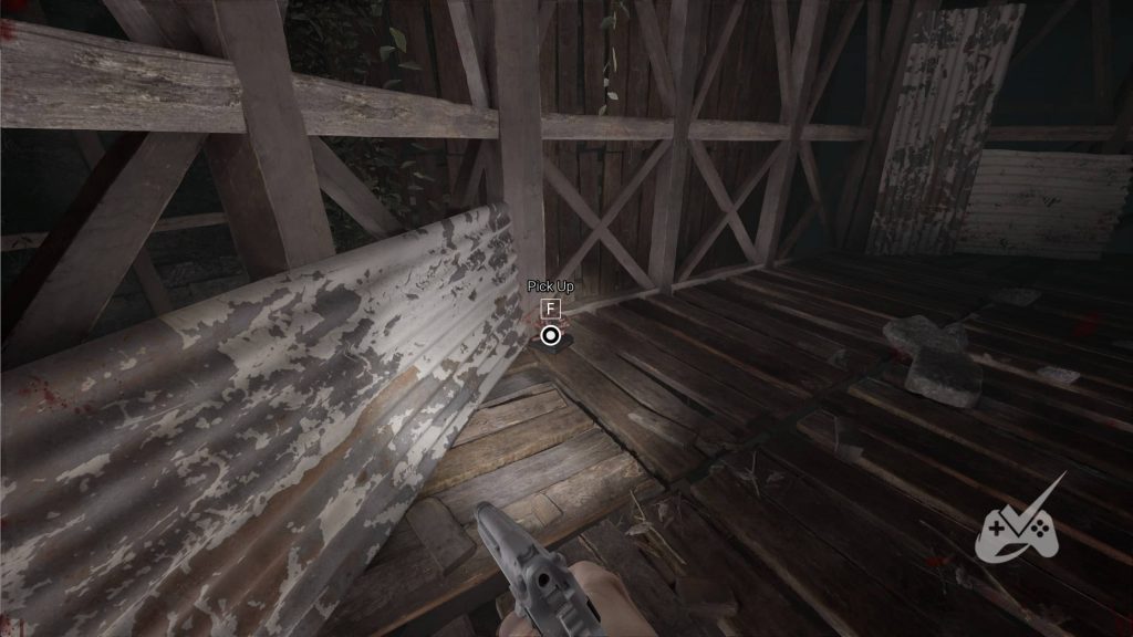 Collectible in Forest Experience in AILA