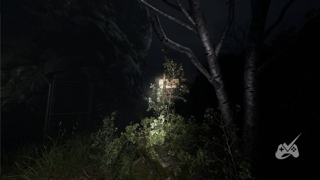 Collectible in Forest Experience in AILA